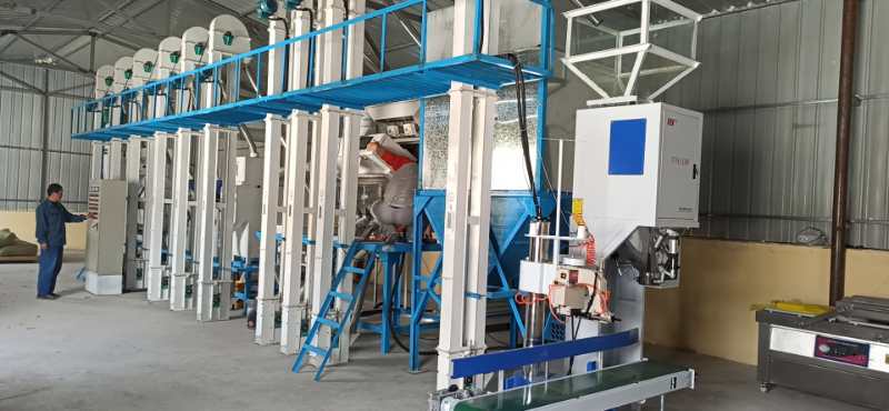 遼寧朝陽建平NZJ15噸小米成套加工設備安裝調試完畢